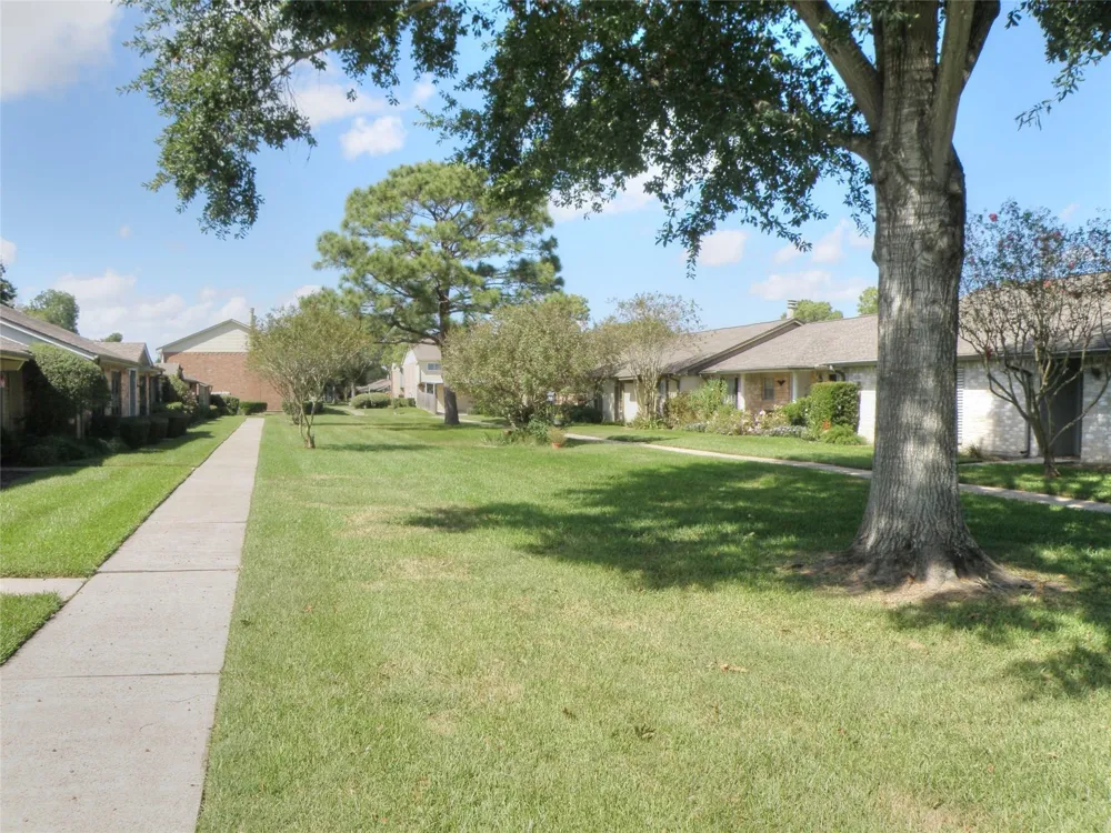 4046 Laura Leigh Drive Friendswood, TX 77546