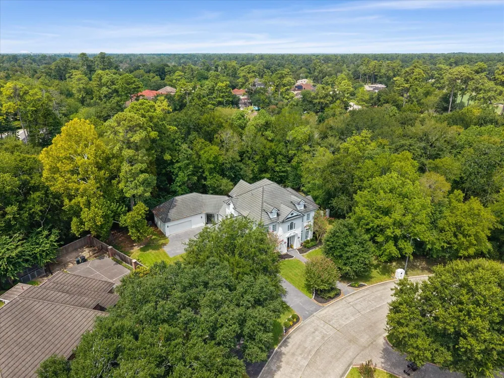 17310 Cedar Placid Lane Houston, TX 77068