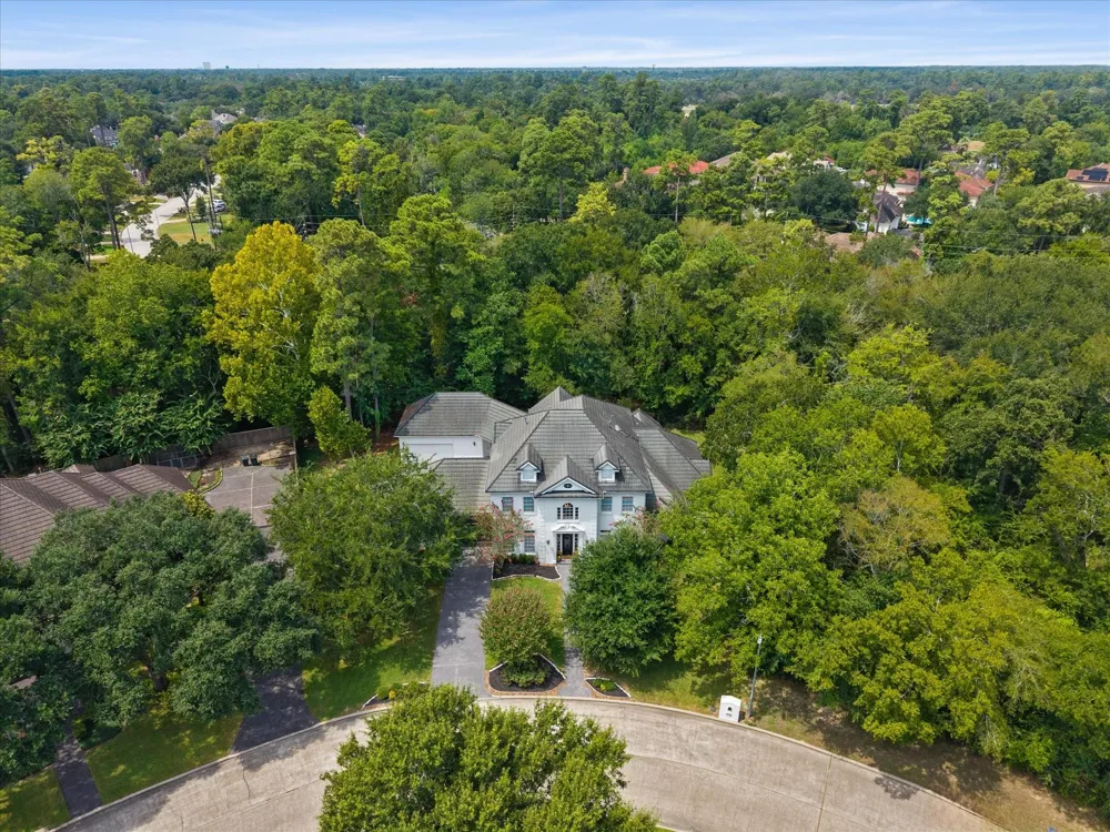 17310 Cedar Placid Lane Houston, TX 77068