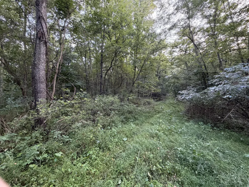 4416 Cronk Road Allen, MI 49227