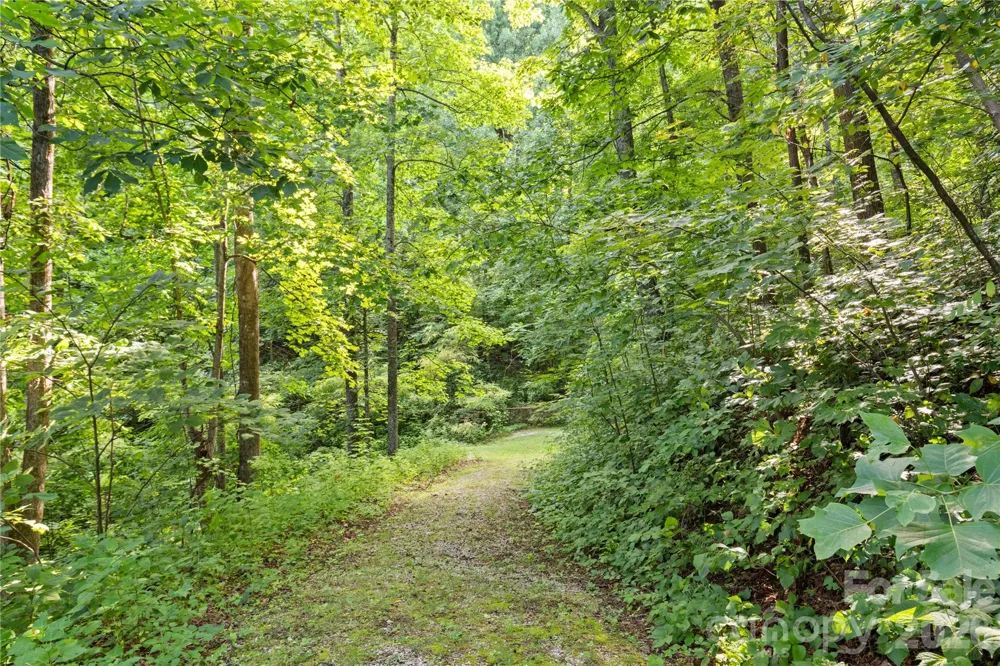 1915 Creston Drive Black Mountain, NC 28711