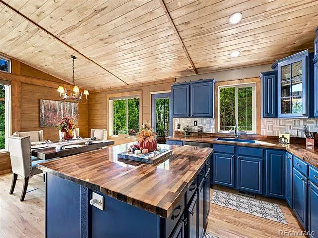 611 Impala Trail Bailey, CO 80421
