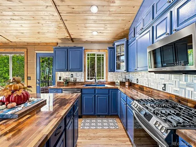 611 Impala Trail Bailey, CO 80421