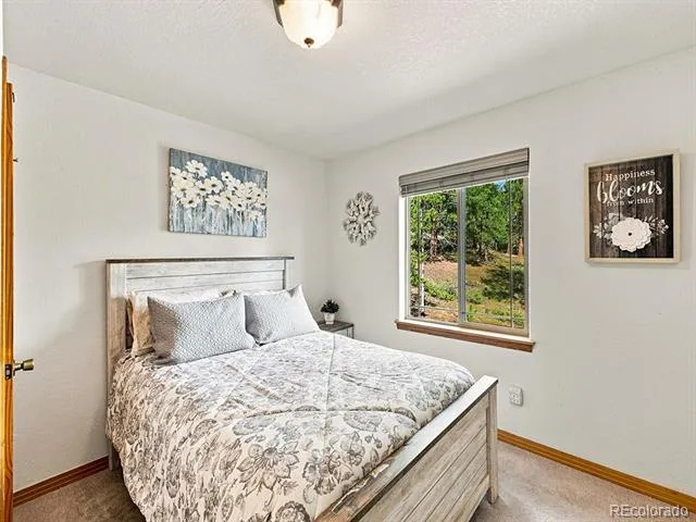 611 Impala Trail Bailey, CO 80421