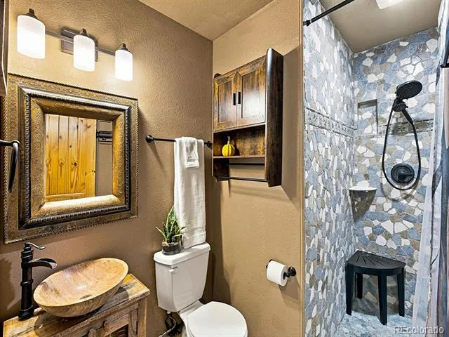 611 Impala Trail Bailey, CO 80421