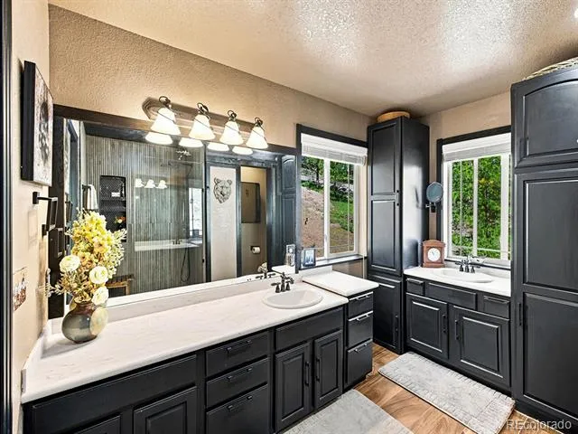 611 Impala Trail Bailey, CO 80421