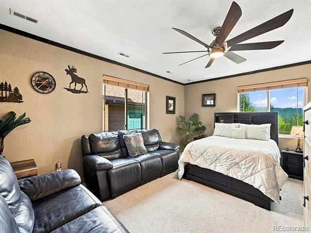 611 Impala Trail Bailey, CO 80421