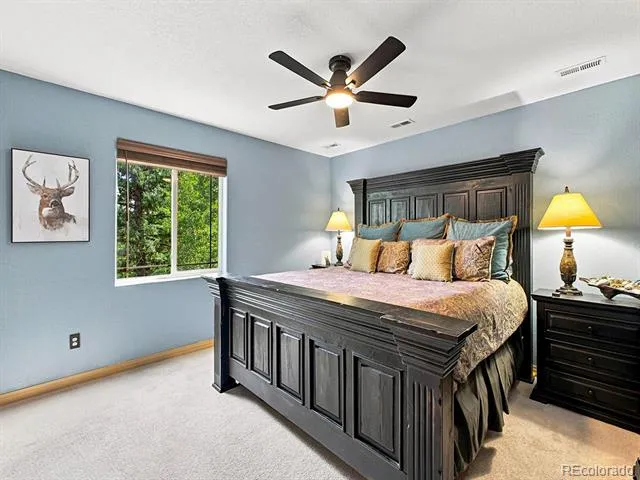 611 Impala Trail Bailey, CO 80421