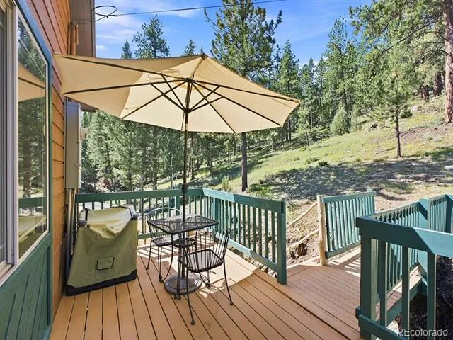611 Impala Trail Bailey, CO 80421