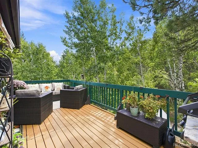 611 Impala Trail Bailey, CO 80421
