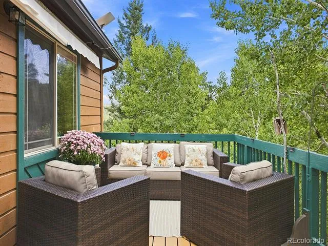 611 Impala Trail Bailey, CO 80421