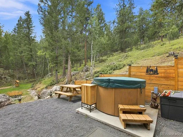 611 Impala Trail Bailey, CO 80421