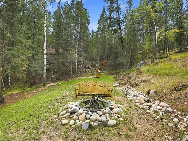 611 Impala Trail Bailey, CO 80421