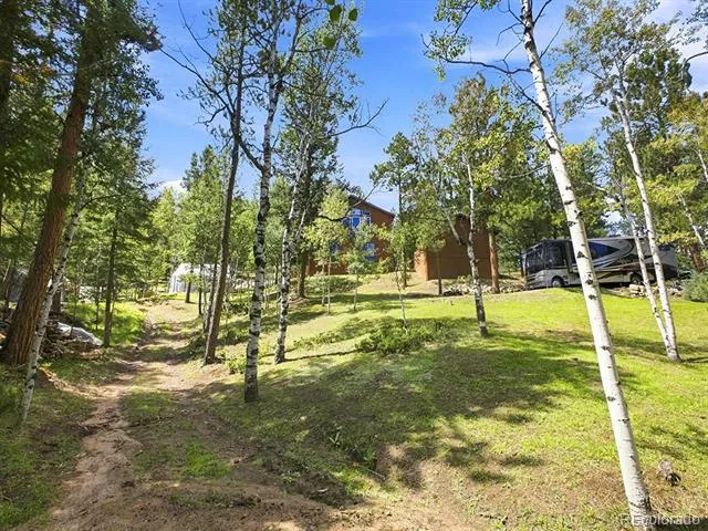 611 Impala Trail Bailey, CO 80421