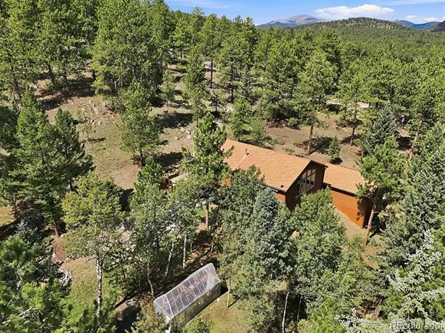 611 Impala Trail Bailey, CO 80421