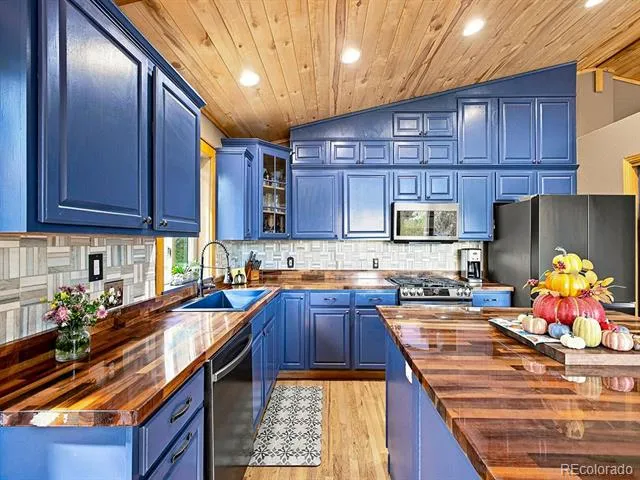611 Impala Trail Bailey, CO 80421