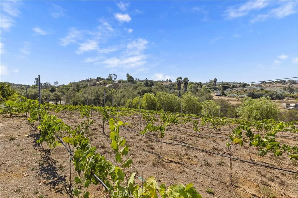 9914 W Lilac Road Escondido, CA 92026