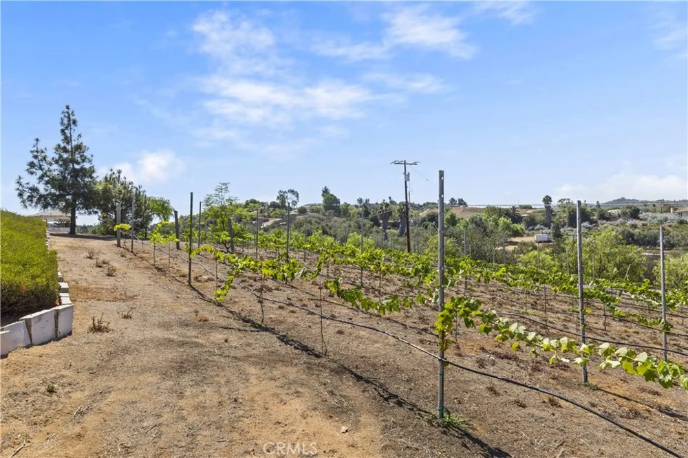 9914 W Lilac Road Escondido, CA 92026