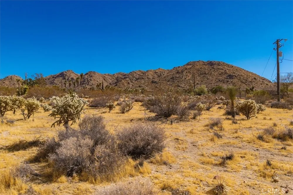 60313 Pueblo Trail Joshua Tree, CA 92252