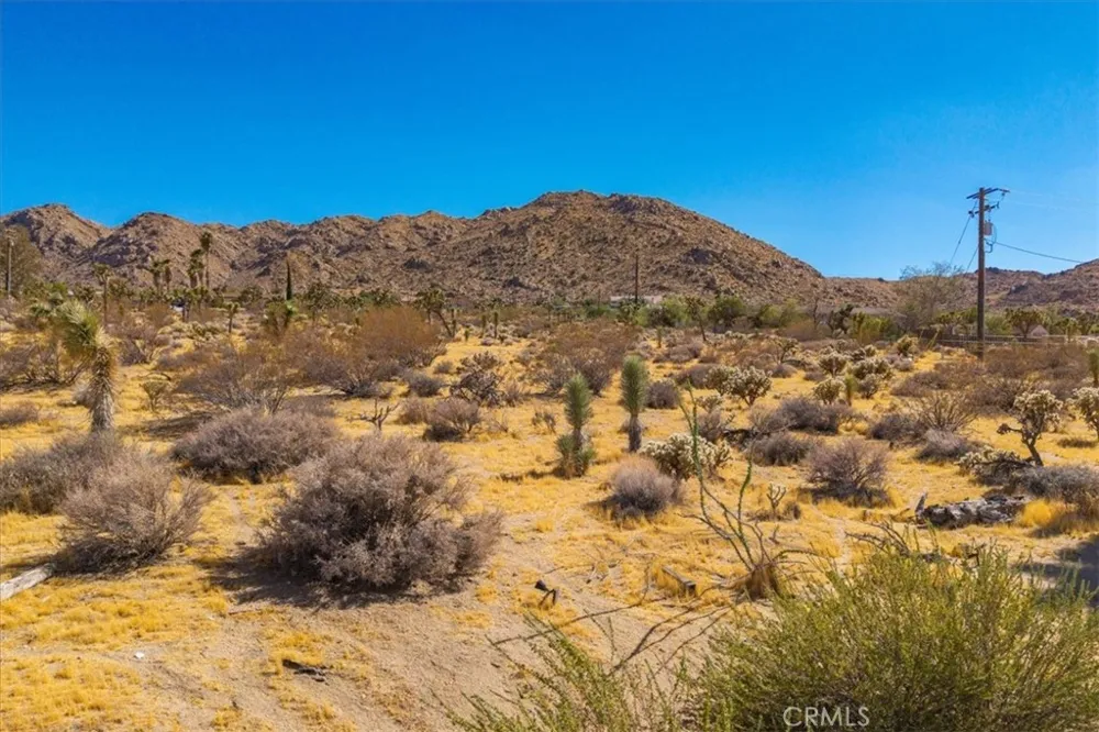 60313 Pueblo Trail Joshua Tree, CA 92252