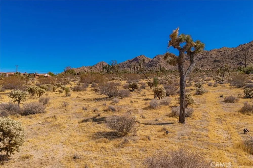 60313 Pueblo Trail Joshua Tree, CA 92252
