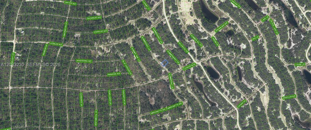 337 Summerdale Lane Lake Placid, FL 33852