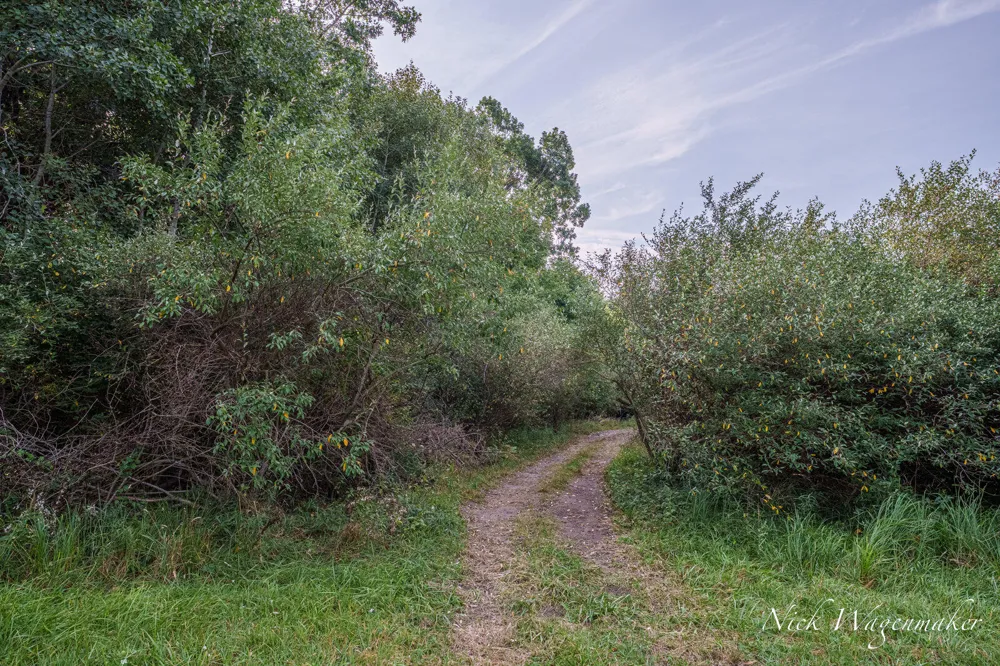 3225 Benston Road Whitehall Township, MI 49461