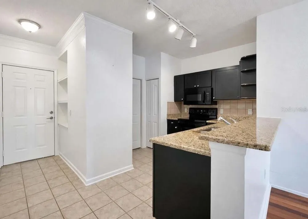 4207 S DALE MABRY HIGHWAY #6410 Tampa, FL 33611