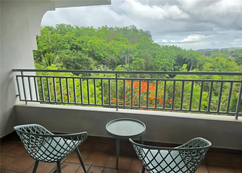PR 450 BUENA VISLTA VILLAGE #1542 Trujillo Alto, PR 00976