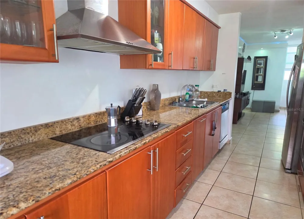 PR 450 BUENA VISLTA VILLAGE #1542 Trujillo Alto, PR 00976