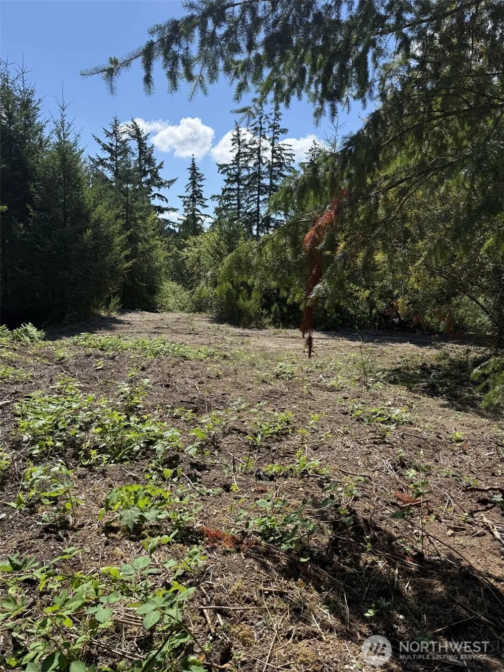 18703 SR 302 Gig Harbor, WA 98329