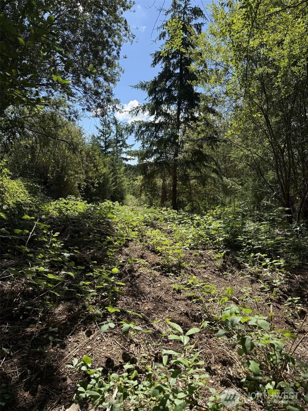 18703 SR 302 Gig Harbor, WA 98329