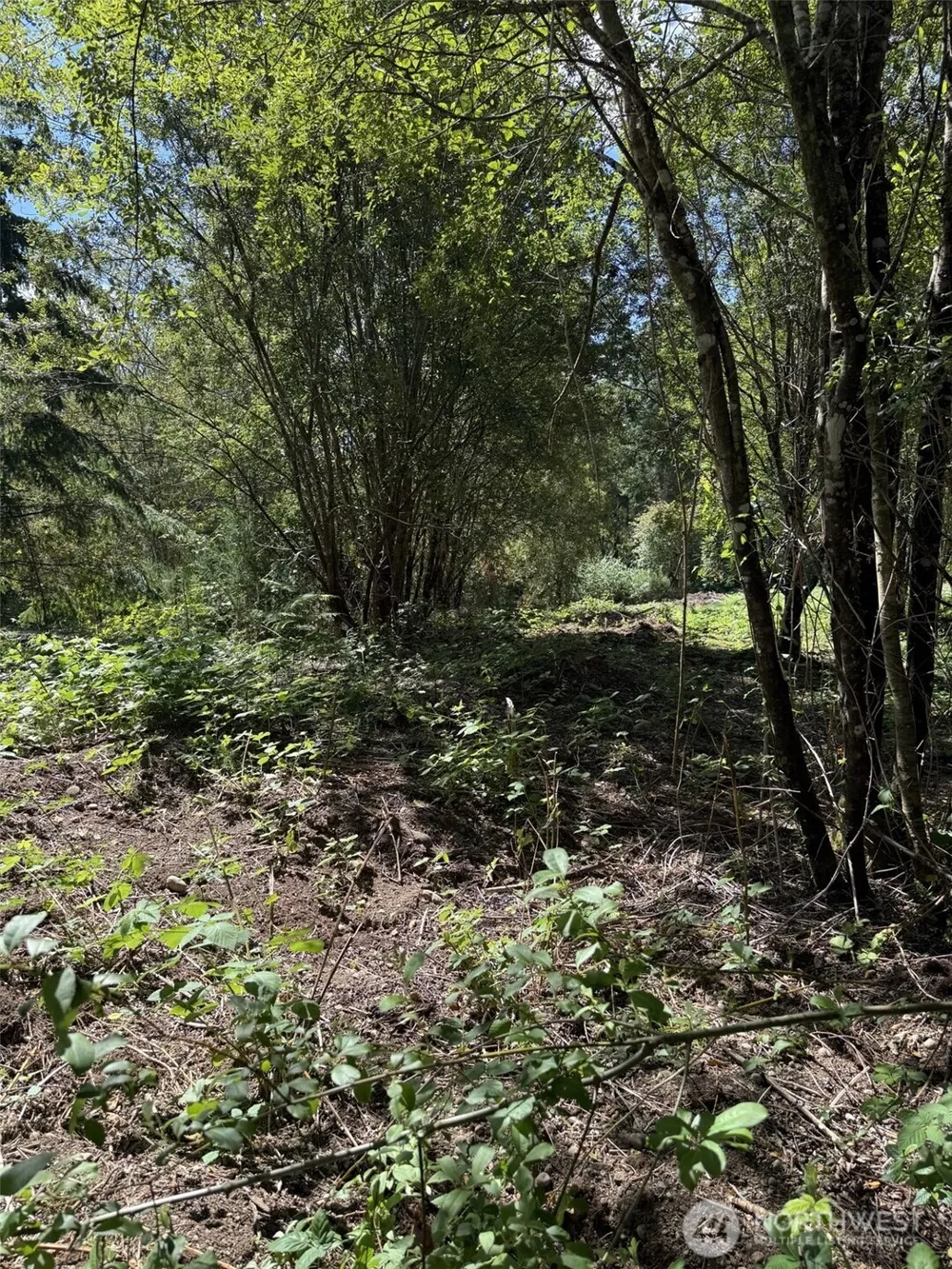 18703 SR 302 Gig Harbor, WA 98329