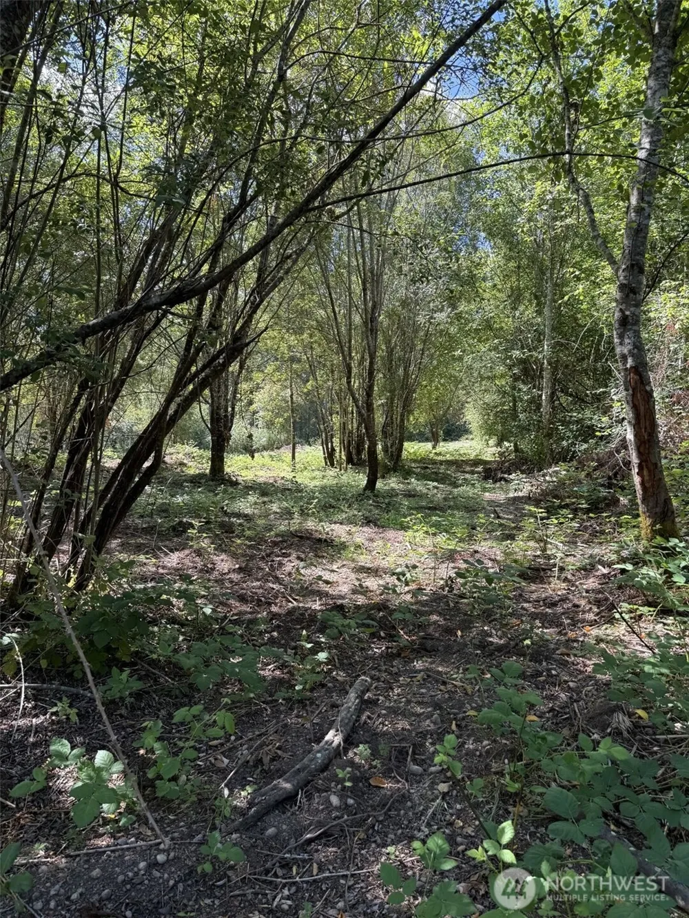 18703 SR 302 Gig Harbor, WA 98329