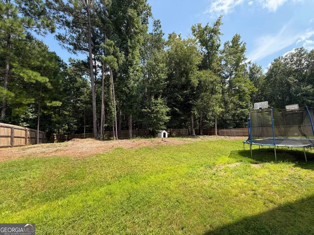 60 Charleston DR Senoia, GA 30276