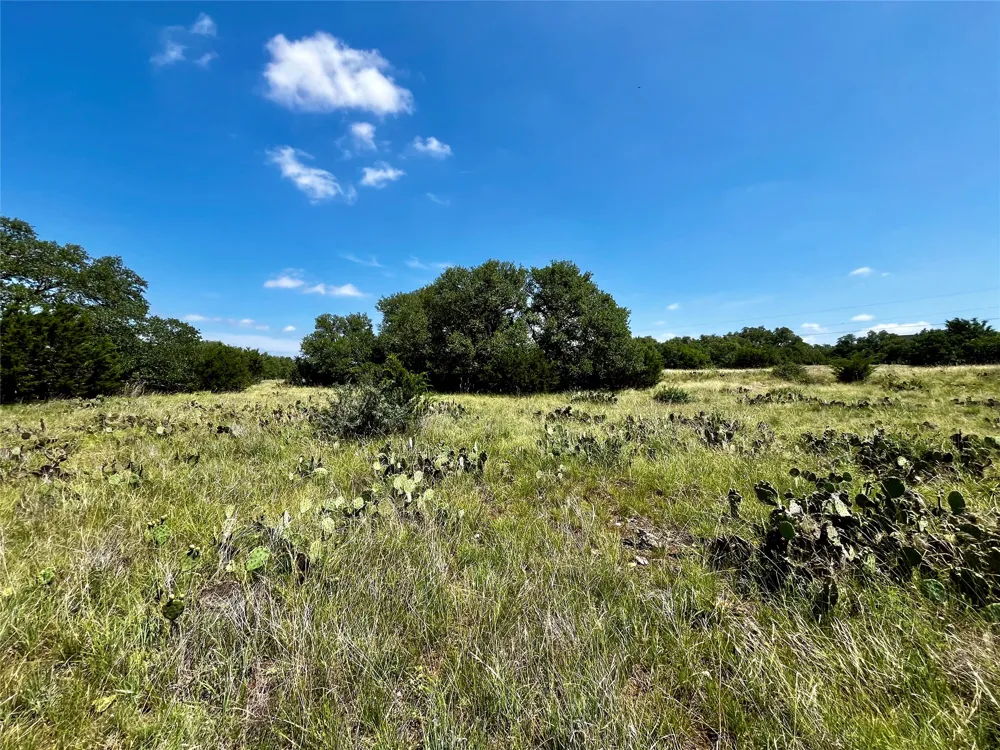 831 Hidden Creek Drive Dripping Springs, TX 78620