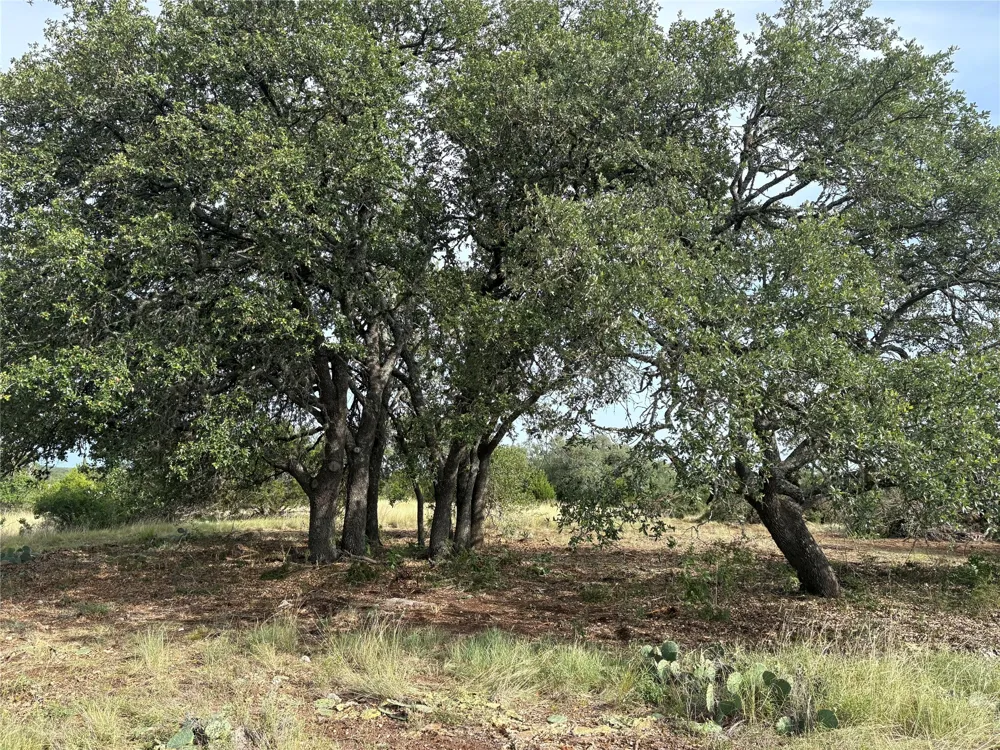 831 Hidden Creek Drive Dripping Springs, TX 78620