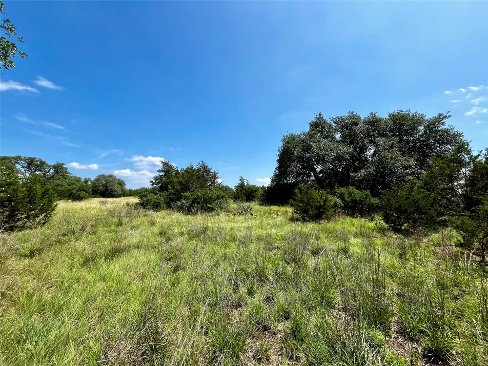 831 Hidden Creek Drive Dripping Springs, TX 78620