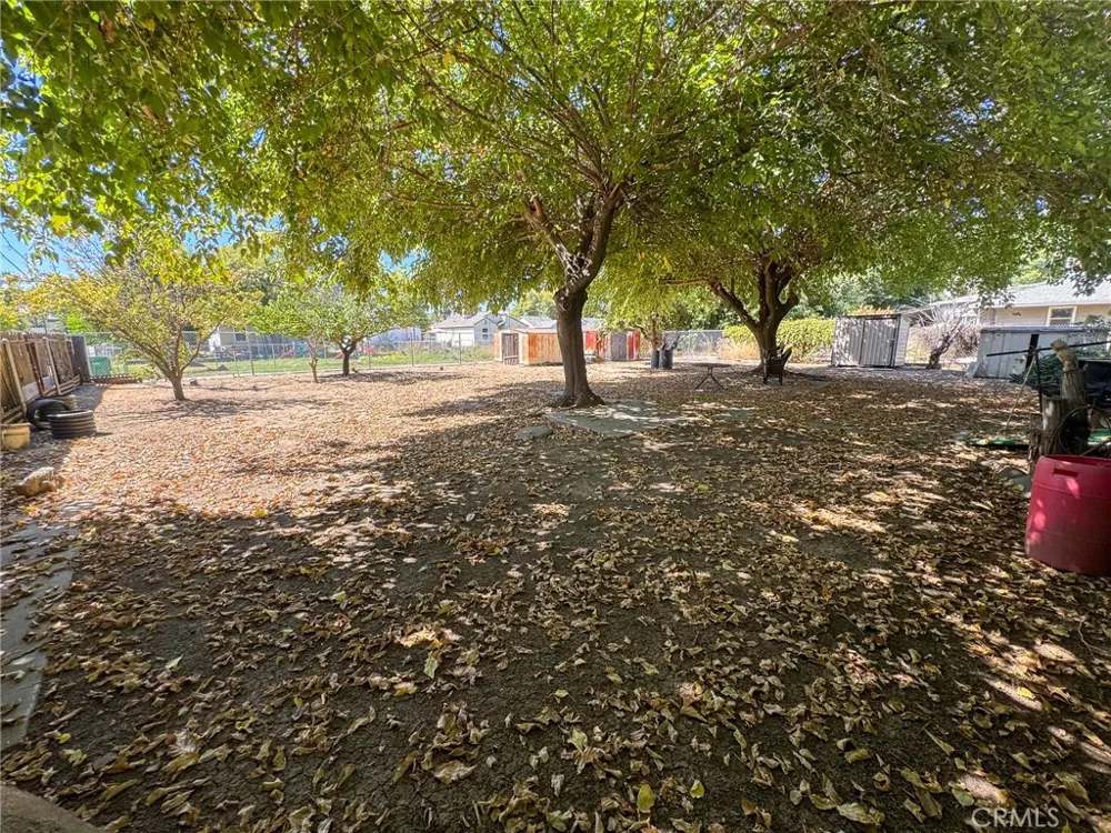 117 Sierra Street Willows, CA 95988