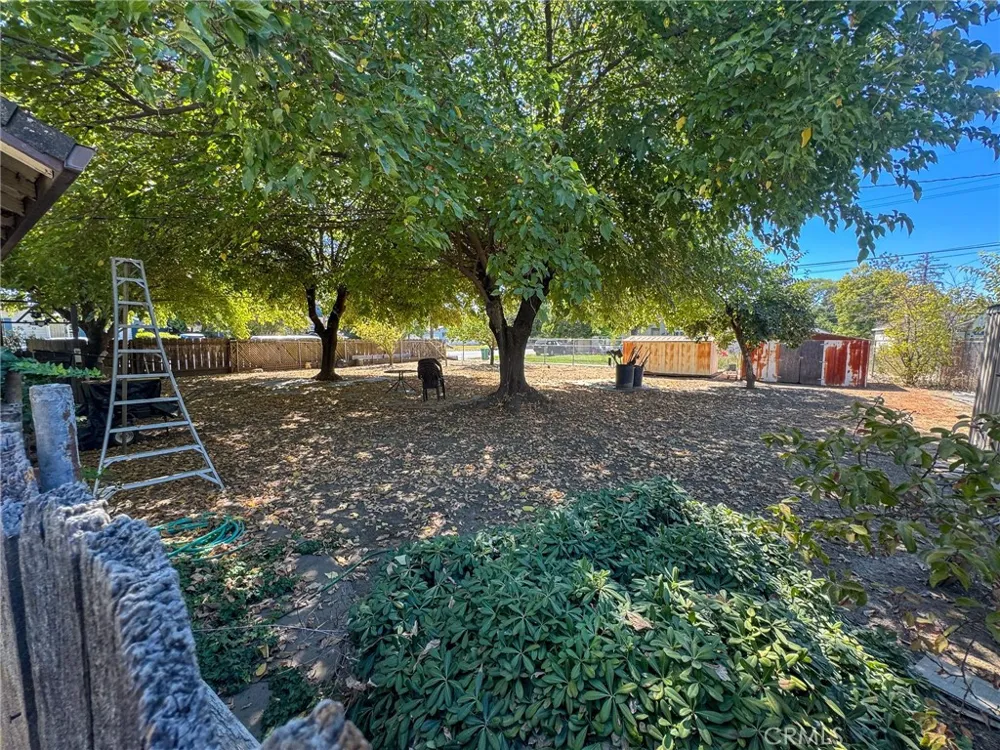 117 Sierra Street Willows, CA 95988