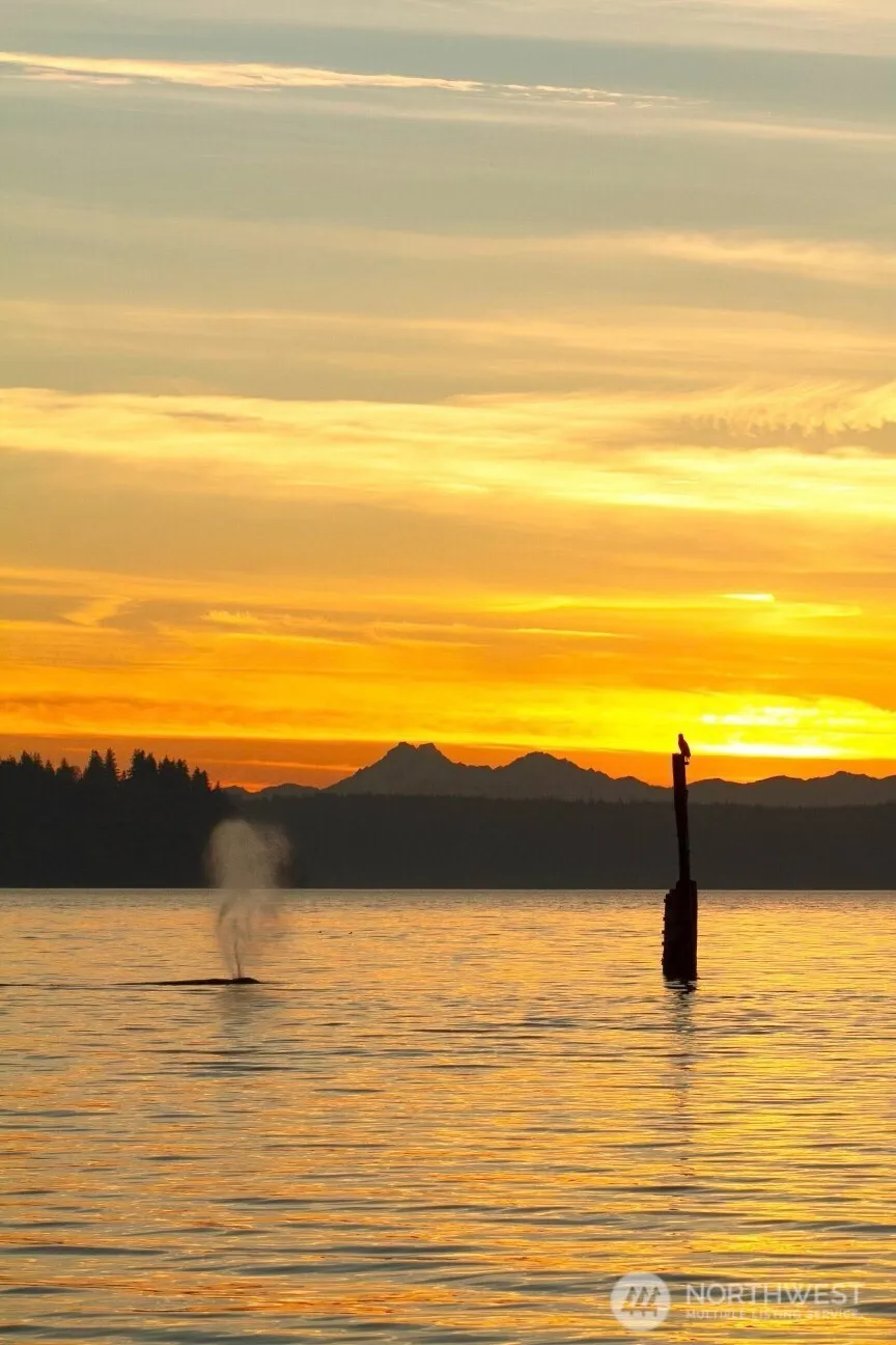 3030 Mission Beach Road Tulalip, WA 98271