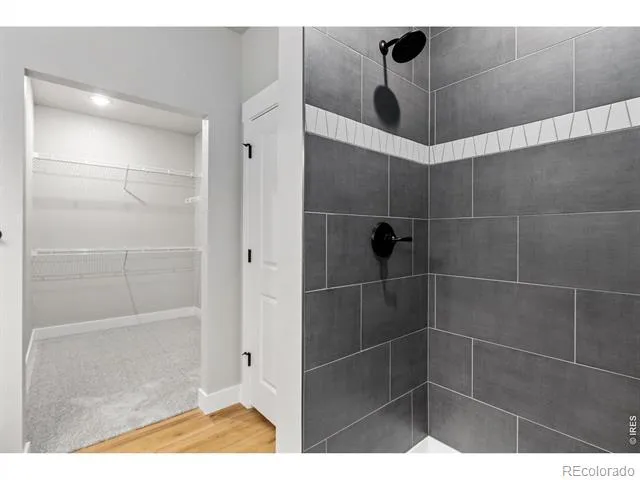 1014 Birdwhistle Lane #11 Fort Collins, CO 80524