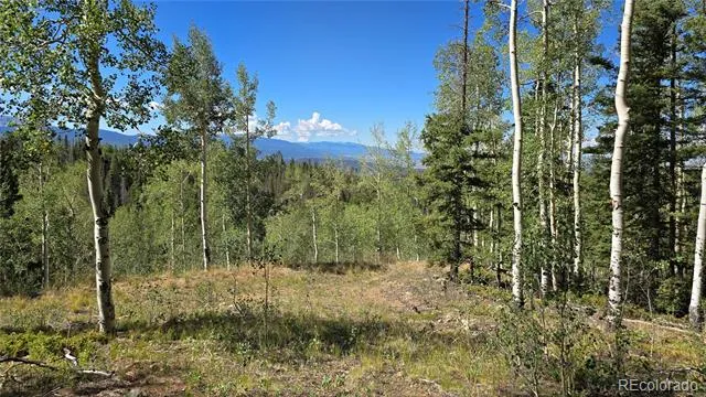 Lot 6174 Forbes Road San Luis, CO 81152