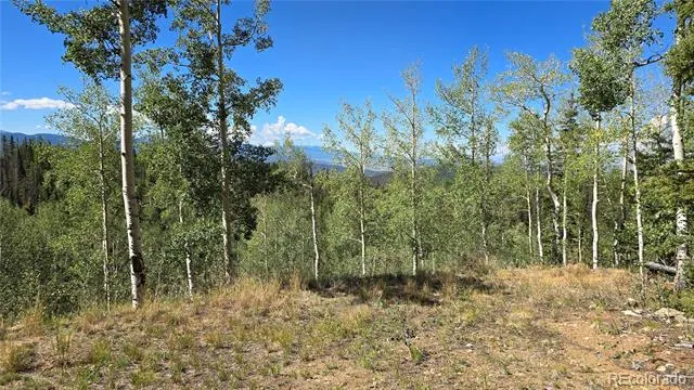 Lot 6174 Forbes Road San Luis, CO 81152