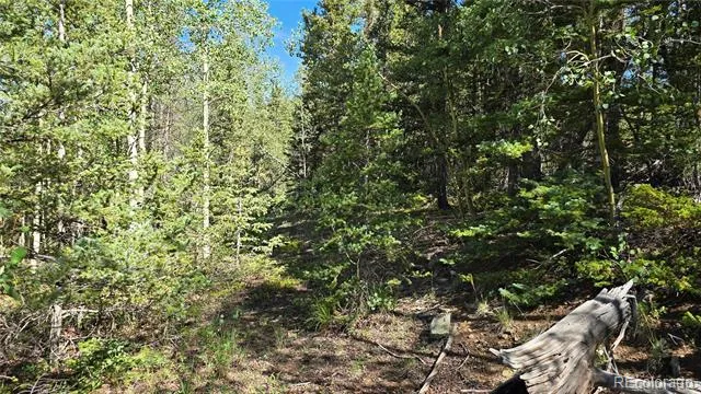 Lot 6174 Forbes Road San Luis, CO 81152