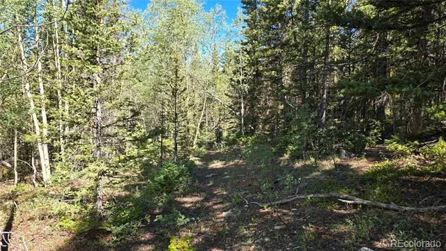 Lot 6174 Forbes Road San Luis, CO 81152