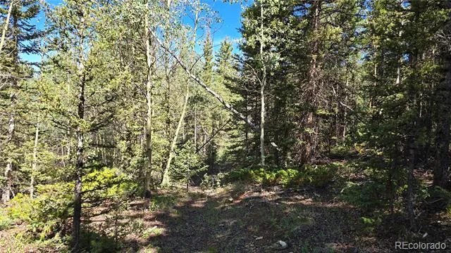 Lot 6174 Forbes Road San Luis, CO 81152