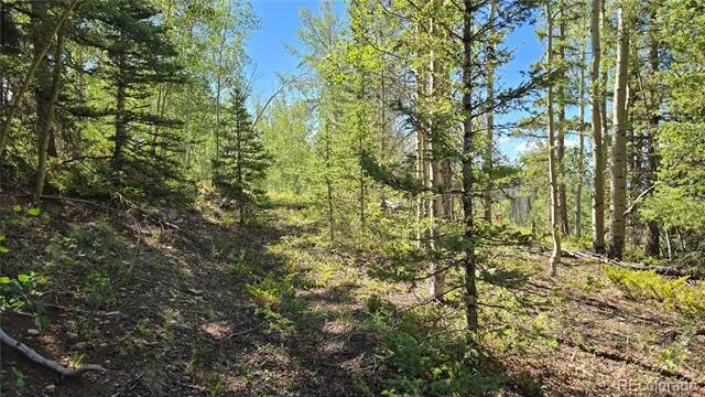 Lot 6174 Forbes Road San Luis, CO 81152