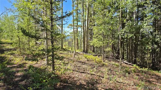 Lot 6174 Forbes Road San Luis, CO 81152