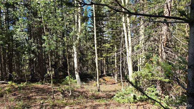 Lot 6174 Forbes Road San Luis, CO 81152
